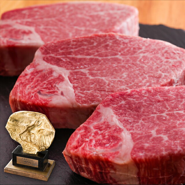 【ふるさと納税】山形牛 ヒレ肉（シャトーブリアン）金塊ブロック A5ランク 450g ブロック ／ お取り寄せ ご当地 グルメ 特産 おうち時間 山形牛 希少部位 シャトーブリアン 牛ひれ肉 お取り寄せグルメ 送料無料 冷蔵便（クール便）