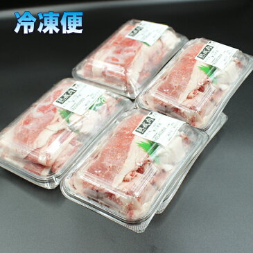 【送料無料※一部地域＋500円】加古川熟成肉切落としメガ盛り1kg(250g×4パック）（冷凍便）