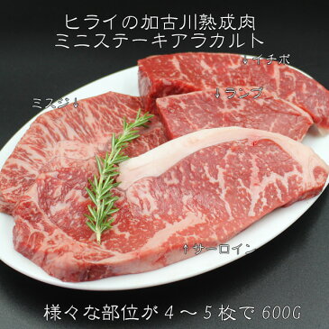 【送料無料※一部地域+500円】ヒライの加古川熟成肉ミニステーキアラカルト600G(冷凍便)