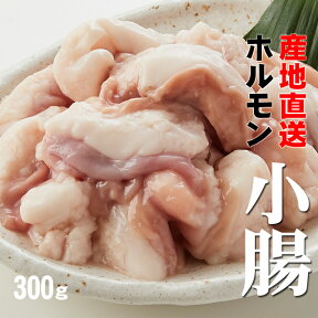 【あす楽対応】【肉の日限定】牛ホルモン（小腸）　ぷるっぷるでコラーゲンたっぷり　300g【産地直送】(冷凍)