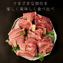 【早得26日まで！P15倍】ヒライの6点食べ比べ焼肉　600g（3〜4人前）（冷凍）【送料無料※北海道・沖縄へは+500円】お中元 お歳暮 熟成肉 黒毛和牛 ギフト 高級肉 ギフト 内祝 誕生日プレゼント 肉 お取り寄せグルメ 焼肉 すき焼き 霜降り 母の日 父の日 お義母さん 2