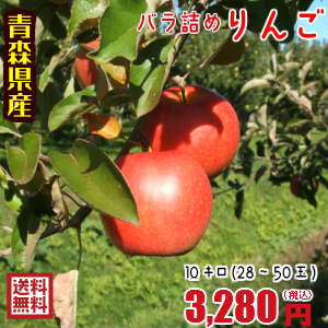 【ただいま、サンふじとなります】青森りんご☆送料無料☆バラ詰めりんご10kg(10キロ前後)28〜50玉【ジュース・スムージーにおススメ】