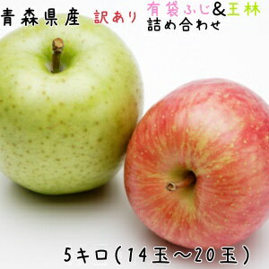 青森りんご☆送料無料☆訳あり有袋ふじ王林詰め合わせ5kg(5キロ)14〜20玉