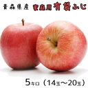 りんご 青森りんご☆送料無料☆家庭用有袋ふじ5キロ14-20玉 発送は5月10日頃から