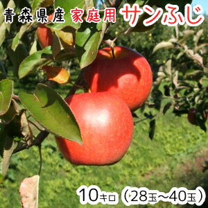 青森りんご☆送料無料☆家庭用サンふじ10キロ28〜40玉 発送11月20日頃から