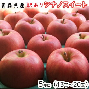 青森りんご☆送料無料☆訳ありシナノスイート5キロ13〜20玉 発送は11月1日頃から
