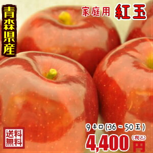 青森りんご☆送料無料☆家庭用紅玉9〜10キロ36〜50玉　発送は10月17日頃から