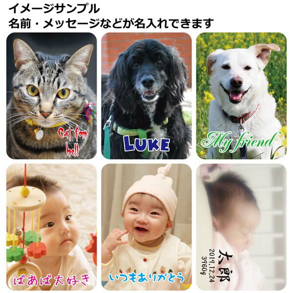 ミラー ディズニー ツイステッドワンダーランド ディアソムニア寮 APDS5486 スモール・プラネット