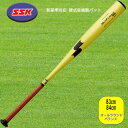SSK エスエスケイ 硬式バット スカイフライト NSR 金属 硬式野球 バット EBB1103-3090