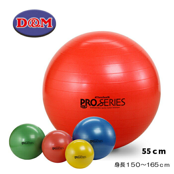 バランスボール D&M バランスボール セラバンド エクササイズボール 筋力トレーニング ストレッチ SDS-55