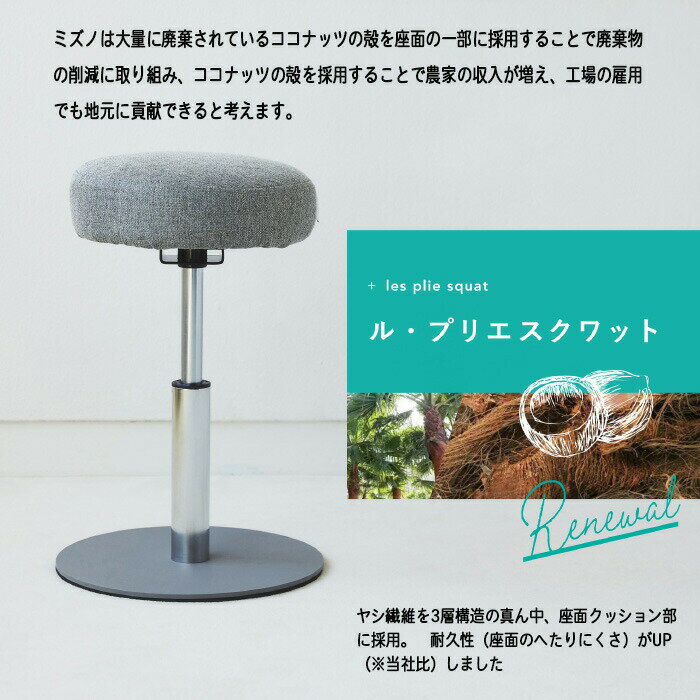 【リニューアル】 ル・プリエ スクワット 椅子 トレーニング MIZUNO C3JHI90506