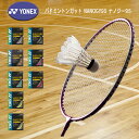 YONEX バドミントンガット NANOGY95 ナノジー95 0.69mm NBG95