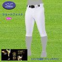 ミズノプロ 練習用ストレッチパンツ ショートフィット 強伸 一般用 高校野球対応 ストレッチ素材 野球 練習着 12JDCU1301