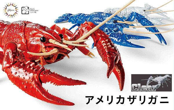 ザリガニ出品 楽天市場】アメリカザリガニ 生体の通販