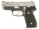 【9月中旬発売予定】 【送料無料】 タナカ P228 "Two-Tone" Evo2 オールHW モデルガン 完成品