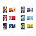 10月発売予定 【ネコポス送料無料】 家庭教師ヒットマンREBORN! ホログラムカード(ブラインド) PALE TONE series B 未来チョイス編 ver. コンプリートセット 全6種