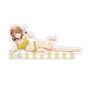 11月再販予定 【ネコポス送料無料】 やはり俺の青春ラブコメはまちがっている。完 【描き下ろし】アクリルスタンド 一色いろは(水着)
