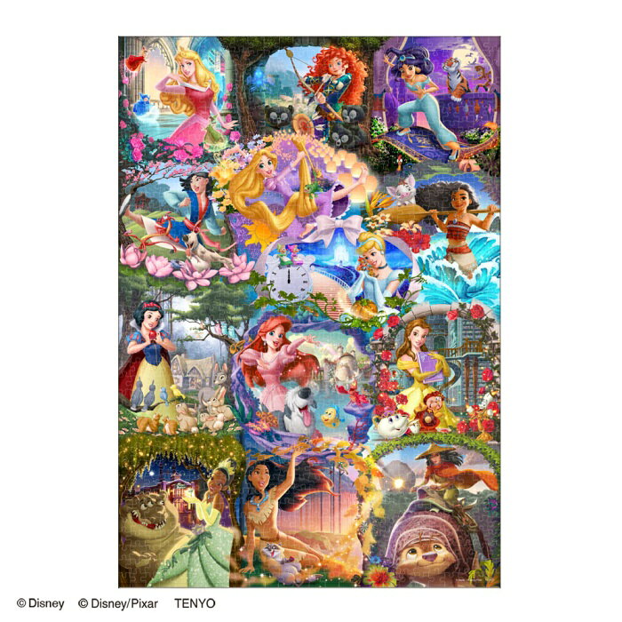 『ワンダフル アドベンチャー（ディズニープリンセス）』の絵柄