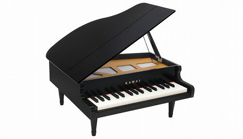 【送料無料】 グランドピアノ ブラック 1141