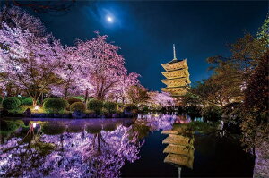 【送料無料】 ジグソーパズル　1000ピース　光るパズル　KAGAYA 月に咲く　京都　50x75cm　10-1299