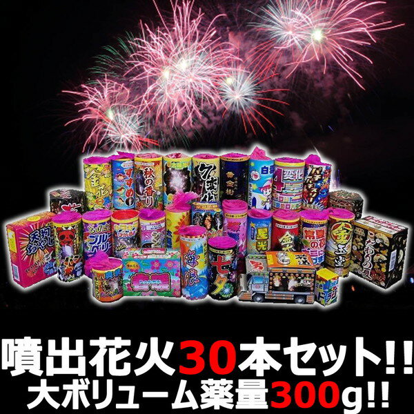 【噴出セット】 【送料無料】 花火屋チョイス！噴出花火セット 30種30本！薬量300g！ボリューム満点お買い得セット 【PUP】