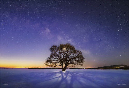 【送料無料】　ジグソーパズル 300ピース 光るパズル KAGAYA ハルニレの木と天の川 (北海道）26x38cm 03-906