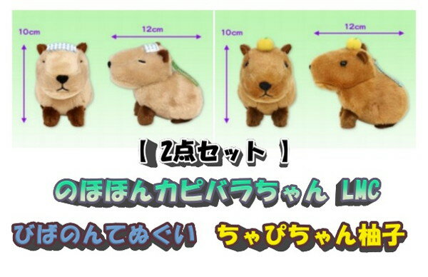 のほほんカピバラちゃんLMC びばのんてぬぐい + ちゃぴちゃん柚子 ぬいぐるみ 高さ約10cm