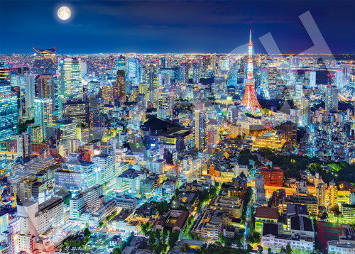 Jigsaw Puzzle - 【送料無料】　ジグソーパズル 2000スーパースモールピース 煌めく東京の夜−東京 38×53cm 54-234