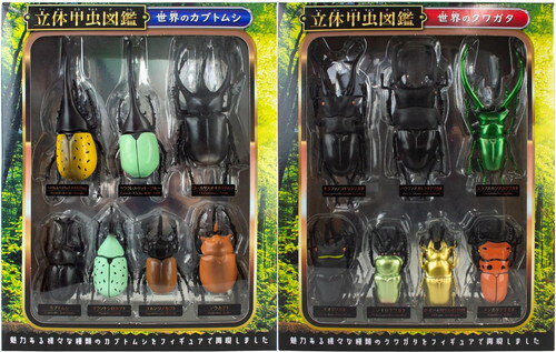 楽天市場】世界のクワガタムシの通販 楽天市場】世界のクワガタムシの通販