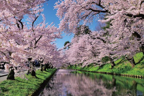 【送料無料】 ジグソーパズル 1000ピース 桜雲の弘前公園（青森）50×75cm 10-1455