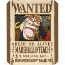 【ネコポス送料無料】 ペーパーシアター ワンピース マーシャル・D・ティーチ PT-370