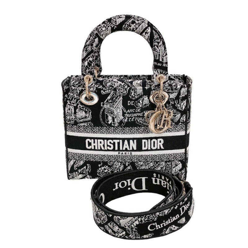 クリスチャン・ディオール Christian Dior レディディオール　ミディアム M0565OOMP ゴールド金具 レディース ハンドバッグ【中古】