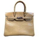 エルメス HERMES バーキン30 プシエール・シルバー金具 ポロサスリセ レディース ハンドバッグ【中古】