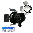 LPL LEDトロピカル + アルカリ乾電池 単3形10本パックセット VLG-2160S+HDLR6/1.5V10P