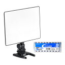 LPL LEDライトワイドVL-5500XP + アルカリ乾電池 単3形10本パックセット L27552+HDLR6/1.5V10P(2)