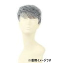 プリシラ 男性用5分ウィッグ ボリュームショート 耐熱 グレイヘア GB-23-TGH