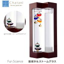 茶谷産業 Fun Science ファンサイエンス 温度計&ストームグラス 333-273