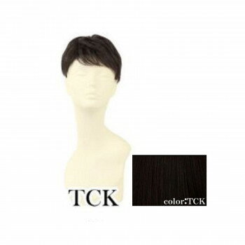 プリシラ 男性用5分ウィッグ レイヤーショート 耐熱 ショコラブラック GB-22-TCK