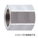 SANEI メスメスソケット T213-13