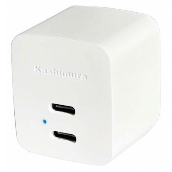 AC充電器 Type-C 2P 12W WH AC-036