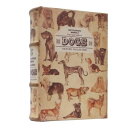 アンティークルック エンプティブックボックス DOG IN054544
