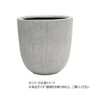 FRノルディックポットホワイトM φ37×H37.5 3a00128WH