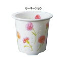 ティーフォーワン 誕生花 5月 カーネーション TFO-003