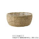 PP浅丸シーグラスナチュラルL 7600082NA