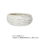 MH浅丸ホワイトL 7700136WH