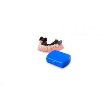 ⥢g-tec PROTECTORޥԡ