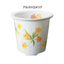ティーフォーワン 誕生花 11月 アルストロメリア TFO-003