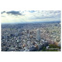 300Pジグソー シリーズ日本の都市1 東京都新宿区「西新宿方面」 300-319
