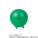 DANNO ダンノ シッティングボール35 D5601