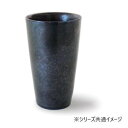 清風 ブラックラスター 二層構造温冷トールカップ TB-923